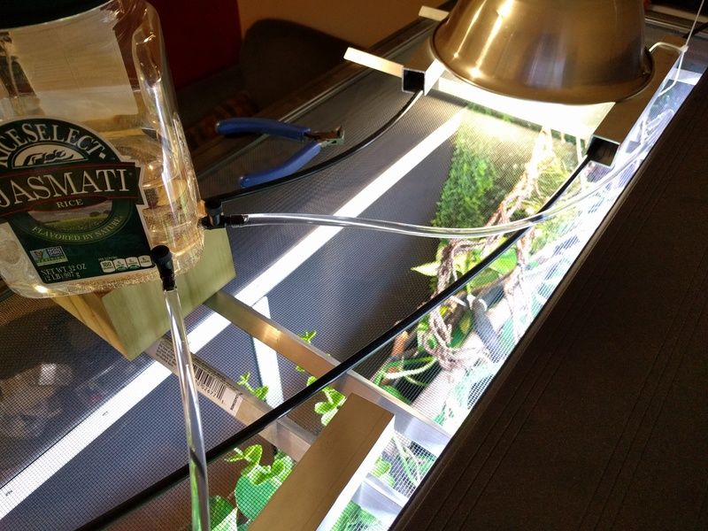 Homemade Dripper Setup Chameleon Forums